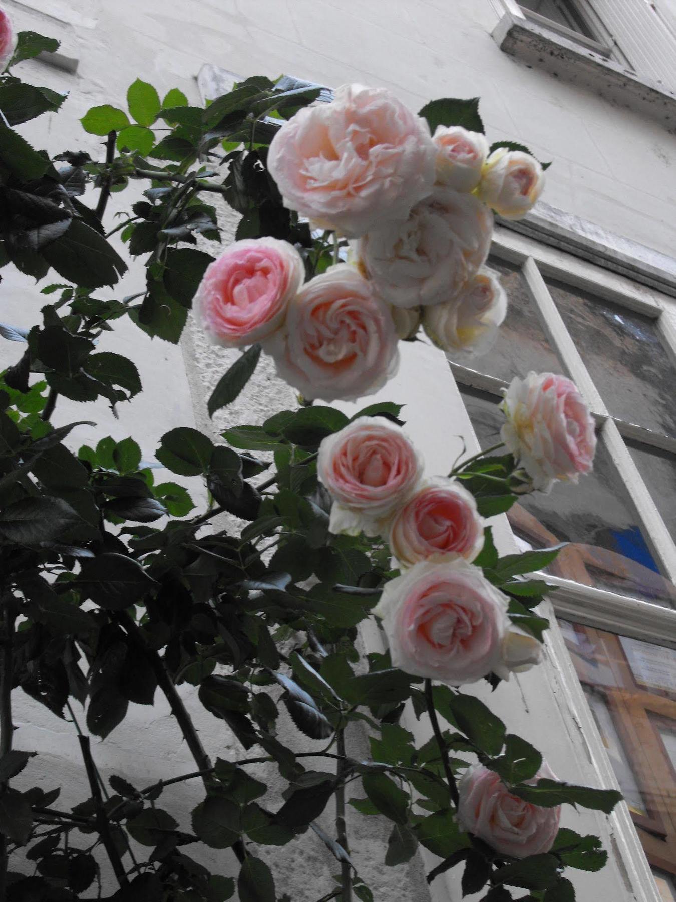 La Demeure Saint-Ours Bed and Breakfast Loches Εξωτερικό φωτογραφία